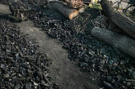 کشف انبار زغال جنگلی قاچاق در شهرستان"رستم" فارس