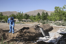 ریختن خاک بر روی اجساد اموات کرونایی(گورستان بهشت احمدی شیراز)