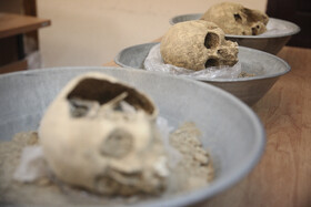 کشف اولین اسکلتها در تخت جمشید