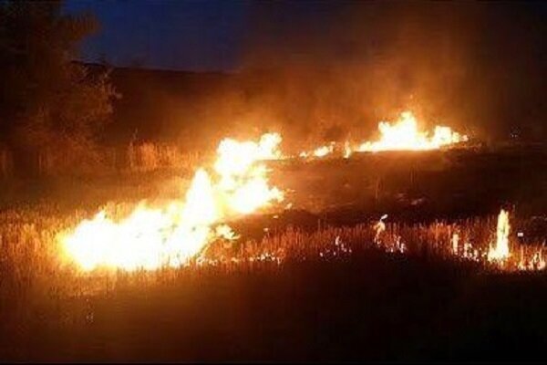 آتش‌سوزی در ارتفاعات حسین آباد شیراز/ استمداد برای مهار آتش