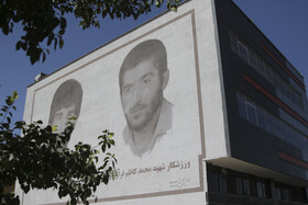 تصاویر شهدا و رزمندگان دفاع مقدس سالهاست که زینت بخش دیوارهای شهرمان است. (بلوار رحمت شیراز)