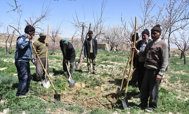 آغاز طرح ملی بیمه روستائی در قیروکارزینِ فارس