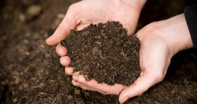 خاک سالم اساس ترقی هر جامعه‌ای است