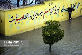 بارندگی منجر به آبگرفتگی مقطعی معابر شیراز شد