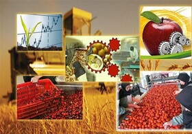 امسال ۴۸ کارخانه صنایع غذایی و تبدیلی در فارس ایجاد شده است