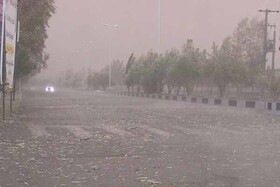هوای شیراز برای گروه‌های حساس سالم نیست