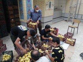 توزیع ۲۰ تن مرکبات بین اقشار نیازمند در شیراز 