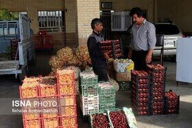 نقش اتحادیه‌های تخصصی شبکه تعاون روستایی در زنجیره تولید
