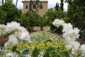 اردیبهشت و شیراز 9