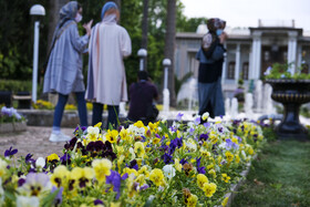 اردیبهشت و شیراز 23