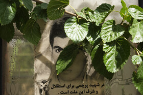 ارتش استان فارس نيز با ثبت ۲۸۰۰ شهيد در ردههای مختلف نيروی زمينی، هوايی و دريايی و جهادسازندگی با ۱۲۰۰ شهيد وفاداری خود را به مردم و انقلاب و كشورشان ثابت كردند.
