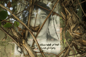 ميانگين سنی شهدای فارس ۲۲ سال و ۸ ماه است که از بین این شهدای عزیز، شهید حیدر شهیدی از شهرستان فیروزآباد با ۱۲ سال کم سن ترین و شهید محمد زارع با ۶۷ سال سن مسنترین شهید محسوب می شود.