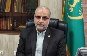 لزوم استقرار هواپیمای اطفاء حریق در فارس/ استفاده از ظرفیت تشکل‌ها