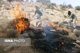 فراخوان بسیج همگانی مهار آتش‌سوزی منابع طبیعی در فارس