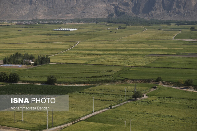 اجرای طرح الگوی کشت برای اراضی اطراف درودزن اجرای طرح الگوی کشت برای اراضی اطراف درودزن