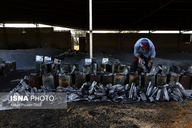 عکس تزئینی است. کنترل ورود و خروج جهرم برای مقابله با قاچاق زغال