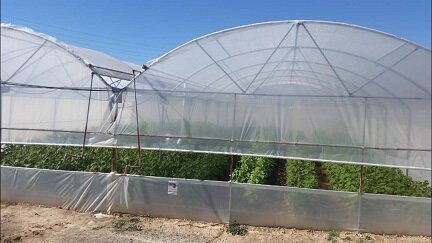 گلخانههای ارسنجان هوشمند میشود گلخانههای ارسنجان هوشمند میشود