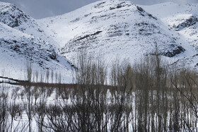 بارش اولین برف زمستانی - منطقه گردشگری شش پیر استان فارس