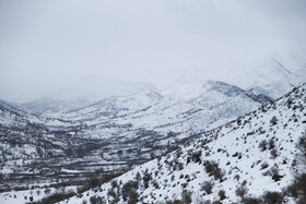 بارش اولین برف زمستانی - منطقه گردشگری شش پیر استان فارس