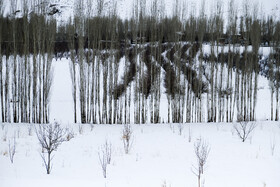 بارش اولین برف زمستانی - منطقه گردشگری شش پیر استان فارس