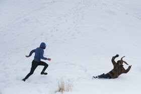 بارش اولین برف زمستانی - منطقه گردشگری شش پیر استان فارس