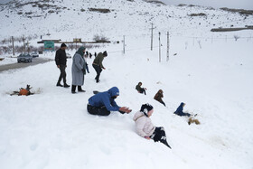 بارش اولین برف زمستانی - منطقه گردشگری شش پیر استان فارس