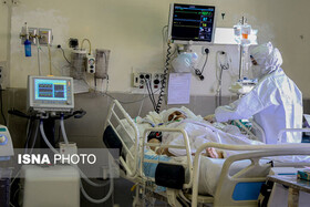 وضعیت وخیم ۸۱ بیمار مبتلا به کرونا در فارس