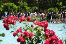 بازدید گردشگران از اماکن تاریخی فرهنگی شیراز در اردیبهشت ۱۴۰۱ - باغ ارم
