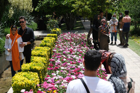 بازدید گردشگران از اماکن تاریخی فرهنگی شیراز در اردیبهشت ۱۴۰۱ - باغ ارم