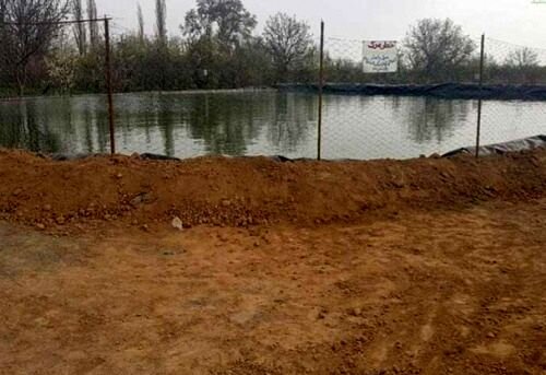 استخرهای معیشتی؛ راهکاری زودبازده در برابر بحران آب استخرهای معیشتی؛ راهکاری زودبازده در برابر بحران آب