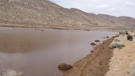 سفره‌های زیرزمینی ارسنجان جان  گرفت