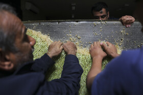 خرد کردن جوانه های گندم برای پُخت بزگترین سمنوی  کشور در شیراز
