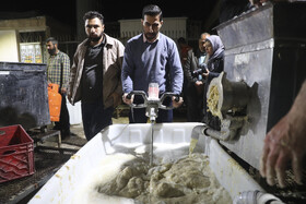 شیره گیری جوانه های گندم برای پُخت بزگترین سمنوی کشور در شیراز