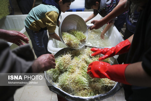 «سمنوپزان»، میراث معنوی قزوینیها در آستانه نوروز
