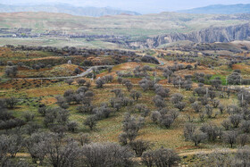 طبیعت زمستان بَهارِی در شمال غرب شیراز