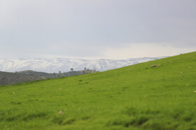طبیعت زمستان بَهارِی در شمال غرب شیراز