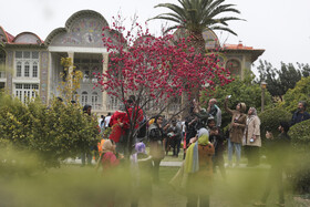 مسافران نوروز ۱۴۰۲  در مجموعه باغ گیاه شناسی ارم - شیراز 