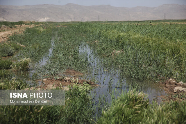 زندگی در شیراز با طعم و بوی فاضلاب!