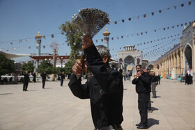 عزاداری روز شهادت امام رضا(ع)  - شاهچراغ (ع)