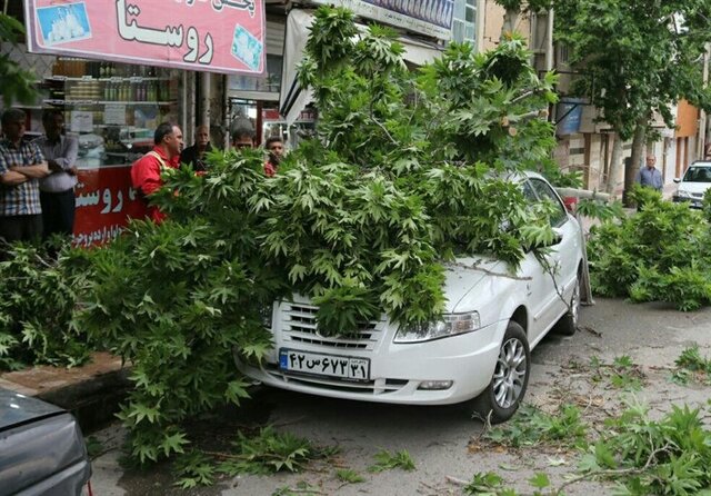 طوفان شیراز را درنوردید/ آسیب‌ها جزئی است