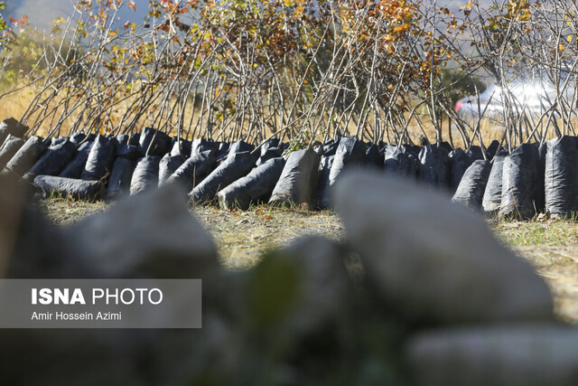 رویشگاه مردمی دشت ارژن باز هم میزبان دوستداران محیط زیست میشود