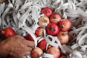 جشنواره « انار و خرمالوی » قصردشت - بوستان شهید رجایی شیراز