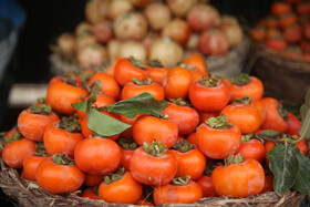 جشنواره « انار و خرمالوی » قصردشت - بوستان شهید رجایی شیراز