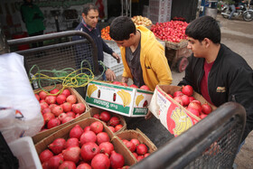 جشنواره « انار و خرمالوی » قصردشت - بوستان شهید رجایی شیراز