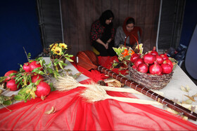 جشنواره « انار و خرمالوی » قصردشت - بوستان شهید رجایی شیراز