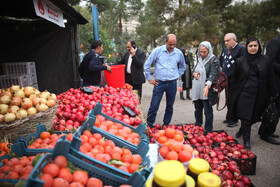 جشنواره « انار و خرمالوی » قصردشت - بوستان شهید رجایی شیراز