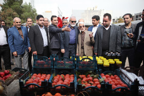 جشنواره « انار و خرمالوی » قصردشت - بوستان شهید رجایی شیراز