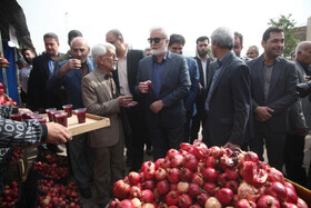 جشنواره « انار و خرمالوی » قصردشت - بوستان شهید رجایی شیراز