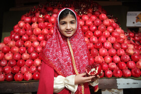 جشنواره « انار و خرمالوی » قصردشت - بوستان شهید رجایی شیراز