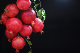 جشنواره « انار و خرمالو » قصردشت - بوستان شهید رجایی شیراز